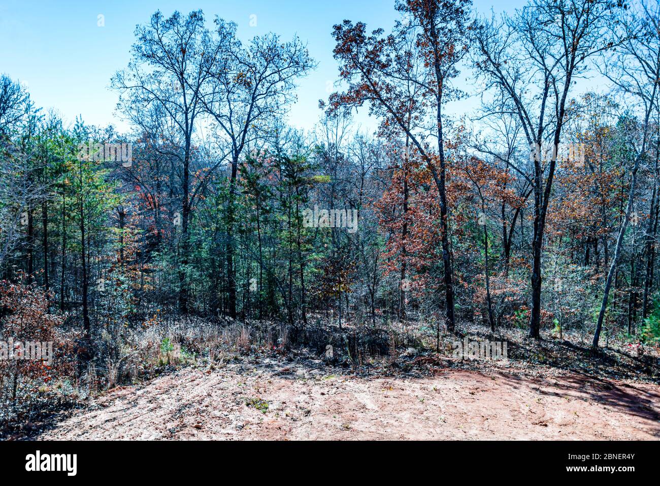Blairsville, GA - Landleben, Aussicht von der Terrasse Stockfoto