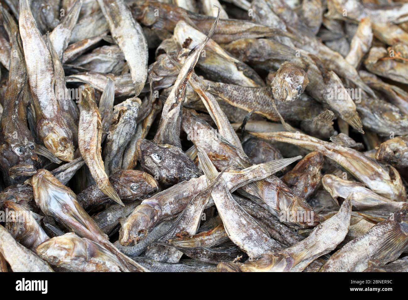 Gesalzene getrocknete Grundeln, die auf einem Straßenmarkt in der Südukraine auf einer Theke liegen Stockfoto