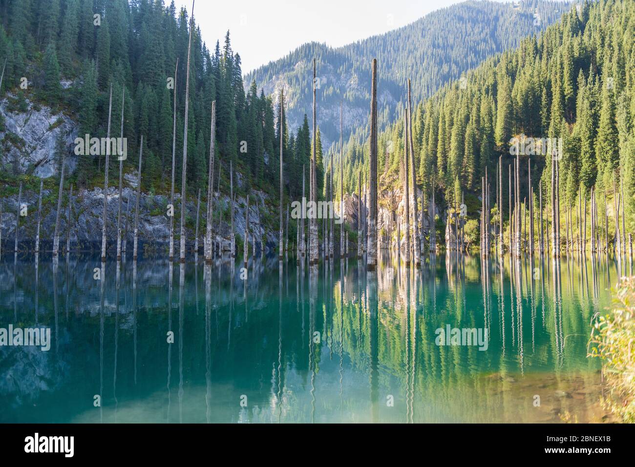 Kaindy See - Bergsee in Kasachstan Stockfoto