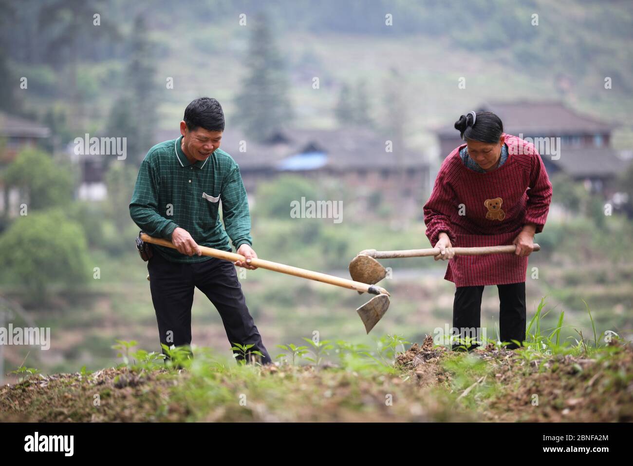 Bauern pflügen ein Stück Land in der Autonomen Präfektur Qiandongnan Miao und Dong im Südwesten Chinas, Guizhou, China, 8. Apr Stockfoto