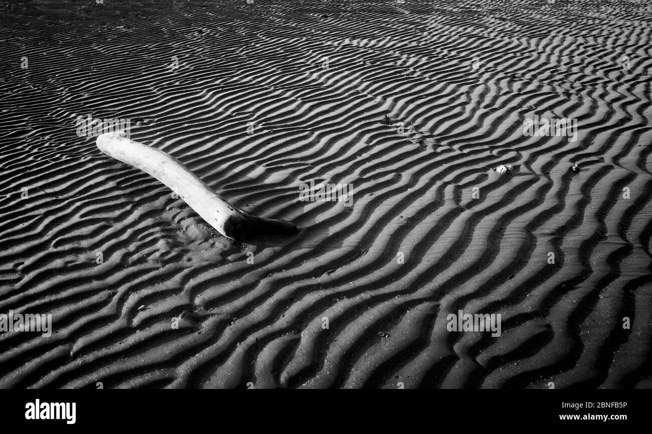 Graustufenaufnahme eines Holzstäbtes auf dem Sand von Das Ufer an einem hellen Tag gefangen Stockfoto