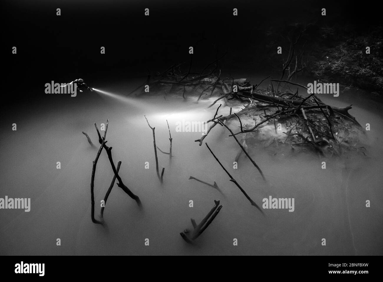 Ein Taucher in einem Cenote in Quintana Roo, Mexiko. Stockfoto