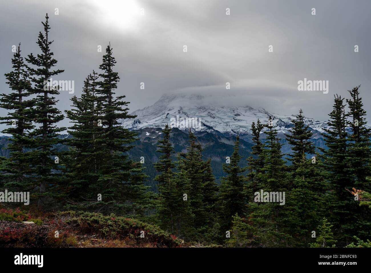 Dicke Wolken umrunden frischen Schnee am Fuße des Mount Rainier in Washington Stockfoto