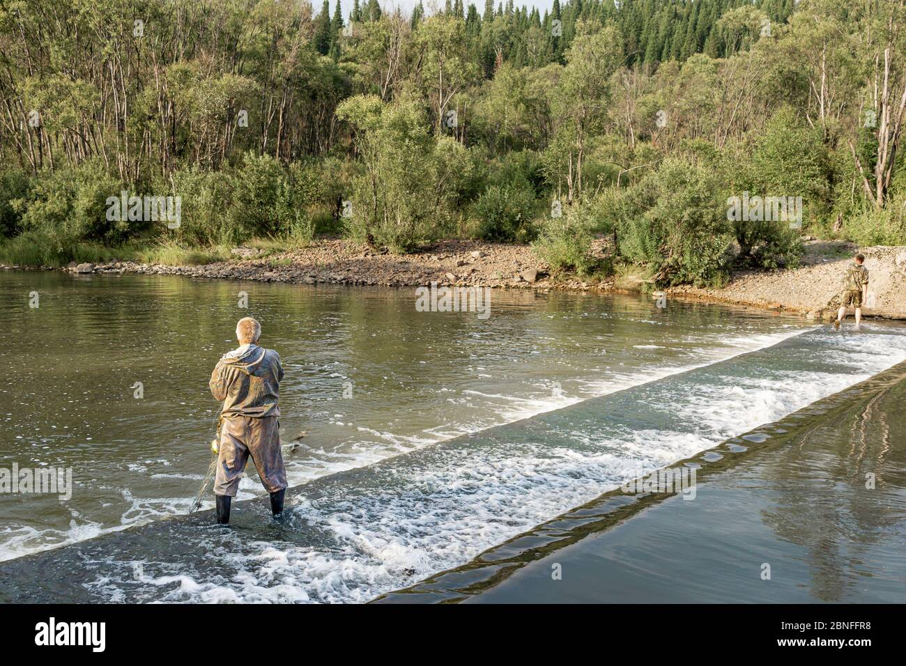 Ein Fischer steht im Wasser und zieht ein Fischnetz mit Fischen aus dem Wasser Stockfoto