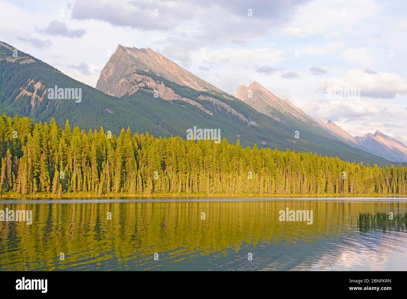 Abend auf dem Honeymoon Lake im Jasper National Park Stockfoto