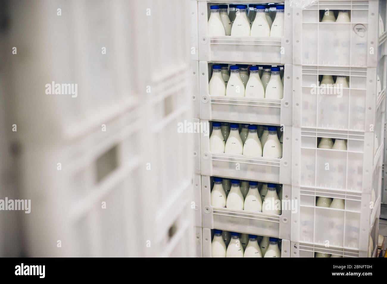 Selektiver Fokus von abgefüllter Milch auf den Regalen in Die Fabrik Stockfoto