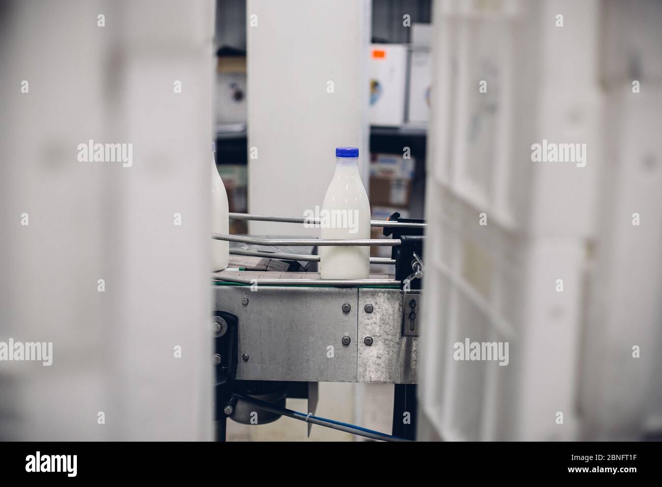 Selektive Fokusaufnahme einer abgefüllten Milch in einer Fabrik Stockfoto