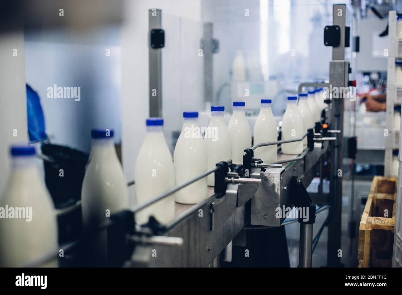 Selektiver Fokus der kompletten Milchabfülllinie in einem Werk Stockfoto