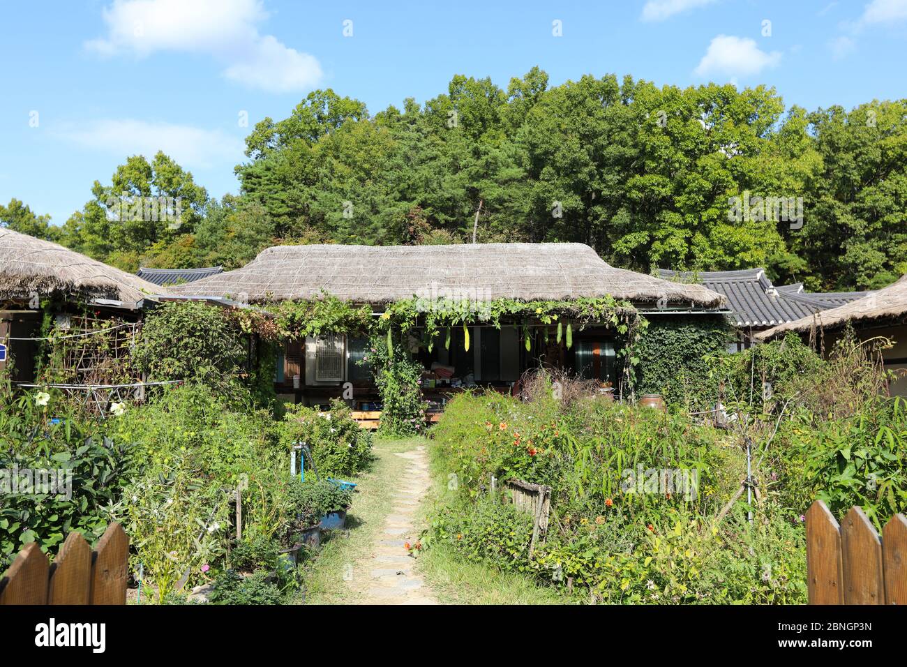 Koreanisches traditionelles Strohhaus. Mooseom Folk Village, Youngju, Südkorea Stockfoto