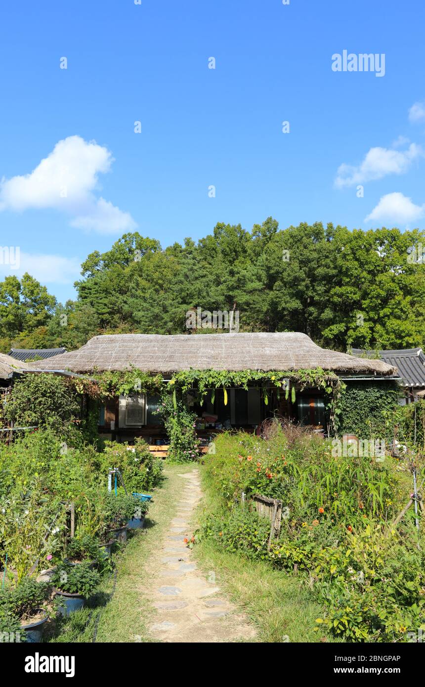 Koreanisches traditionelles Strohhaus. Mooseom Folk Village, Youngju, Südkorea Stockfoto