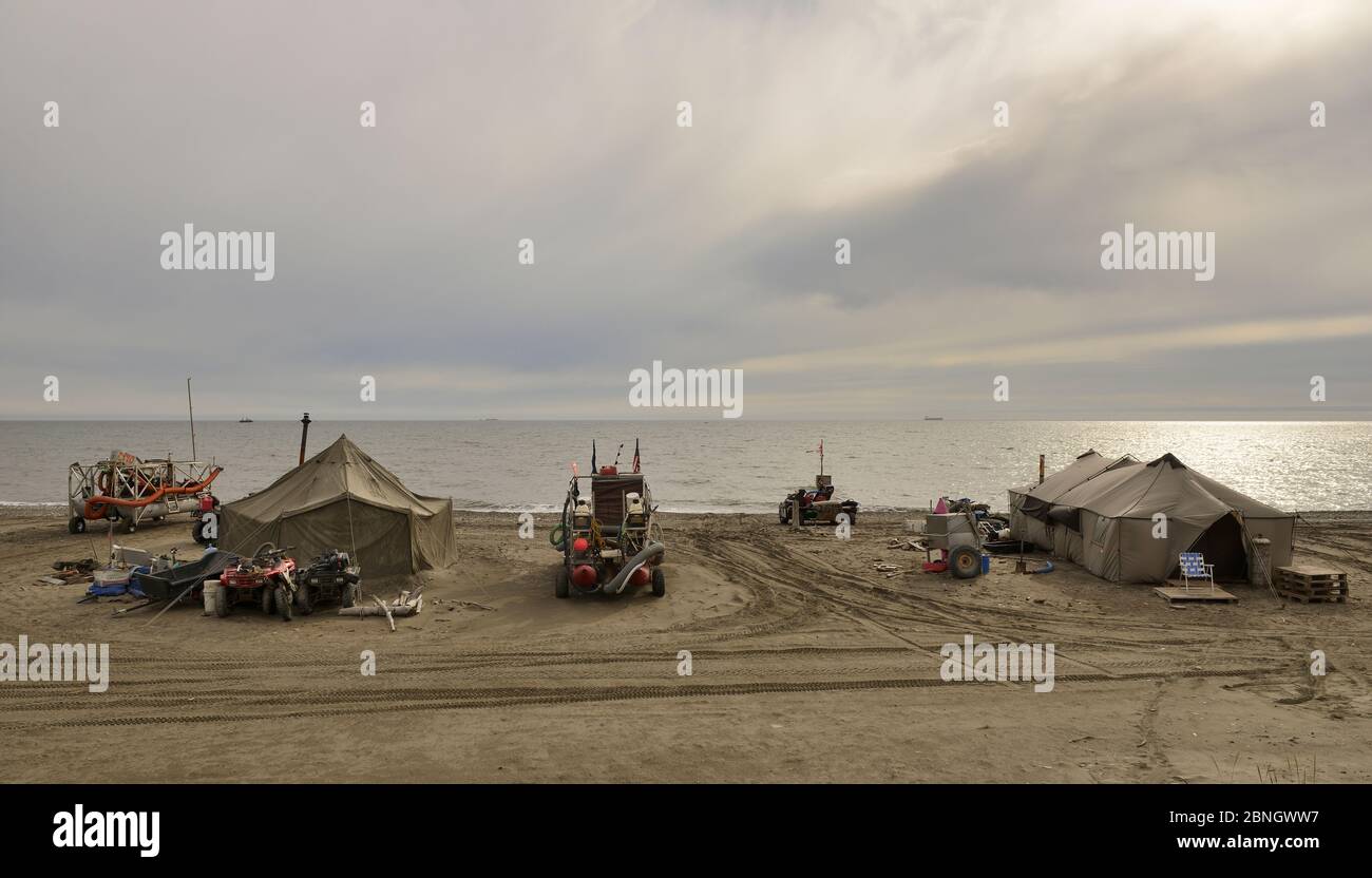 Goldbagger und zelte am strand -Fotos und -Bildmaterial in hoher ...
