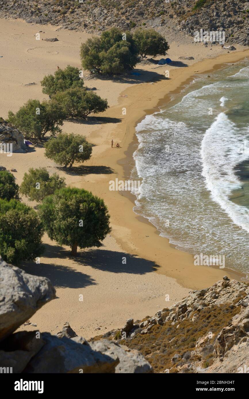 Landschaft von abgelegenen Psili Ammos Strand mit einer Reihe von schattigen Tamarisken / Salz Zeder (Tamarix sp.), Patmos, Dodekanes Inseln, Griechenland, August 2013. Stockfoto