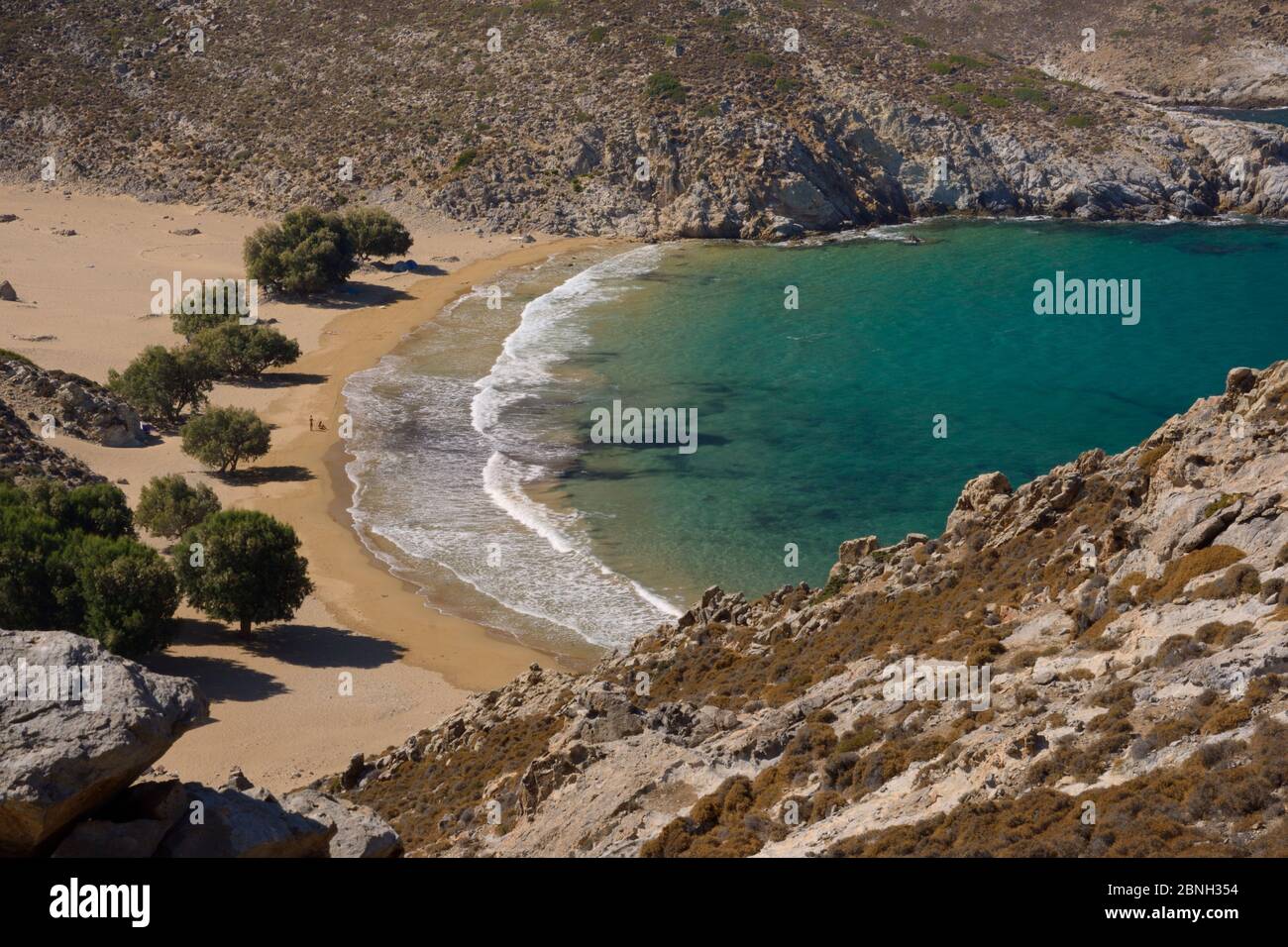 Landschaft von abgelegenen Psili Ammos Strand mit einer Reihe von schattigen Tamarisken / Salz Zeder (Tamarix sp.), Patmos, Dodekanes Inseln, Griechenland, August 2013. Stockfoto