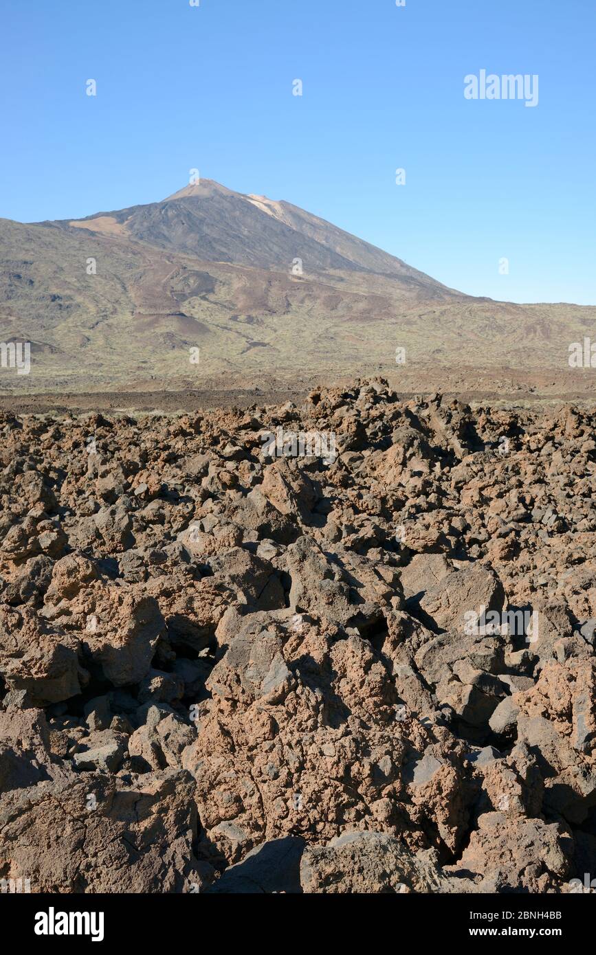 Vulkanische Lava fließt vom Alten Gipfel / Pico Viejo des Teide in der spikigen, unebenen aa oder malpais Form, Teide Nationalpark, Teneriffa, Kanarische Inseln Stockfoto