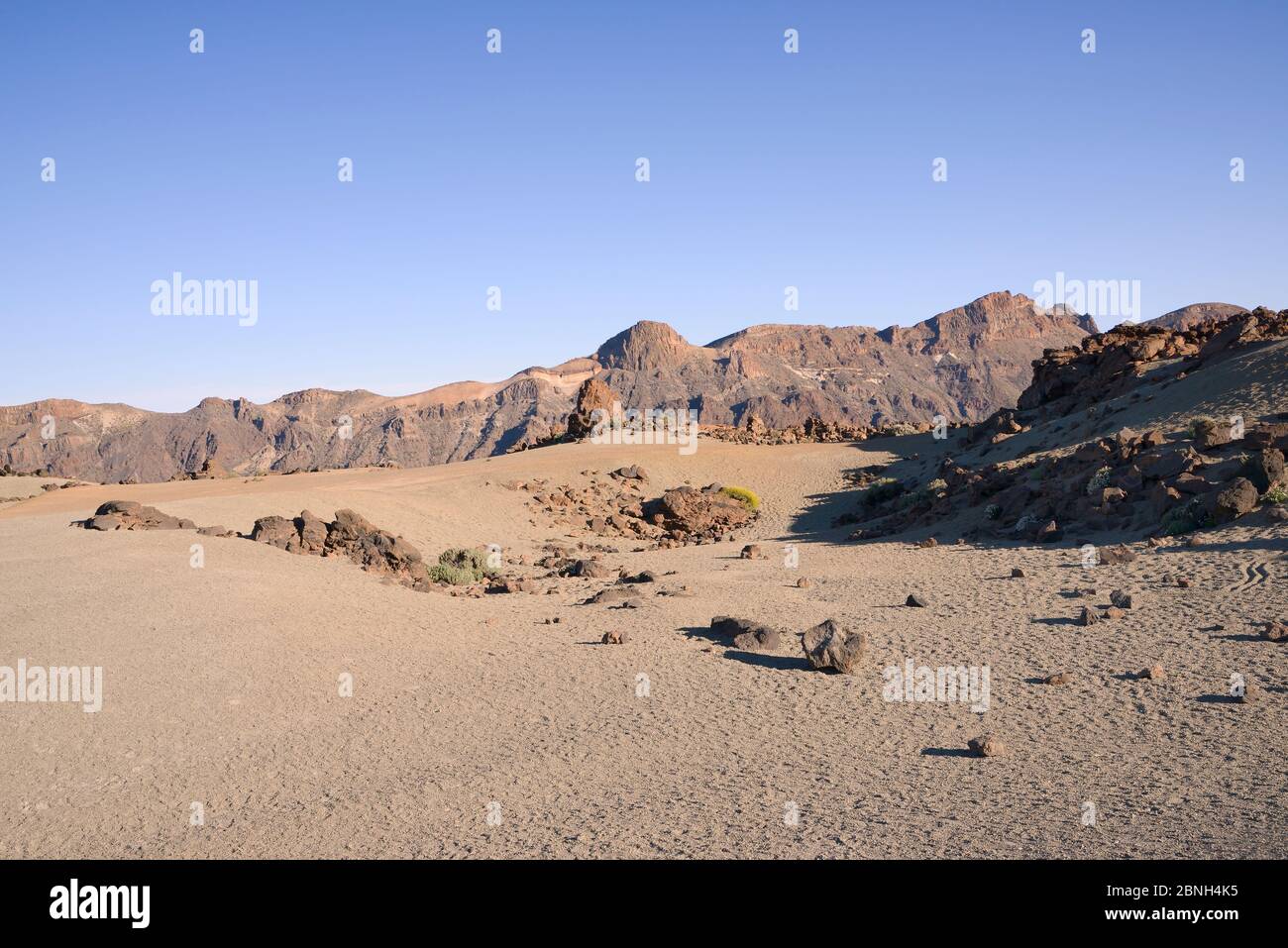 Umfangreiche Feld der Bimsstein von alten Vulkanen umgeben, Las Canadas Caldera, Nationalpark Teide, Teneriffa, Mai 2014. Stockfoto