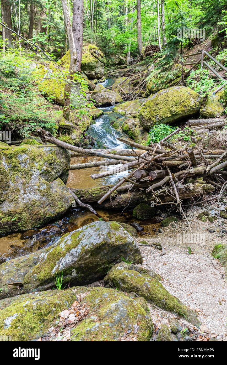 Nationalpark Ysperklamm in Niederösterreich, Waldviertel Stockfoto