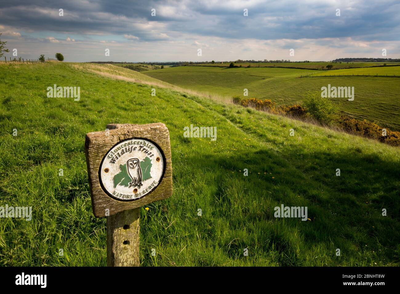 Gloucestershire Wildlife Trust (GWT) Nature Reserve Schild auf dem pasqueflower Reserve, ein trockenes Tal, Gloucestershire, Großbritannien. April 2015. Stockfoto
