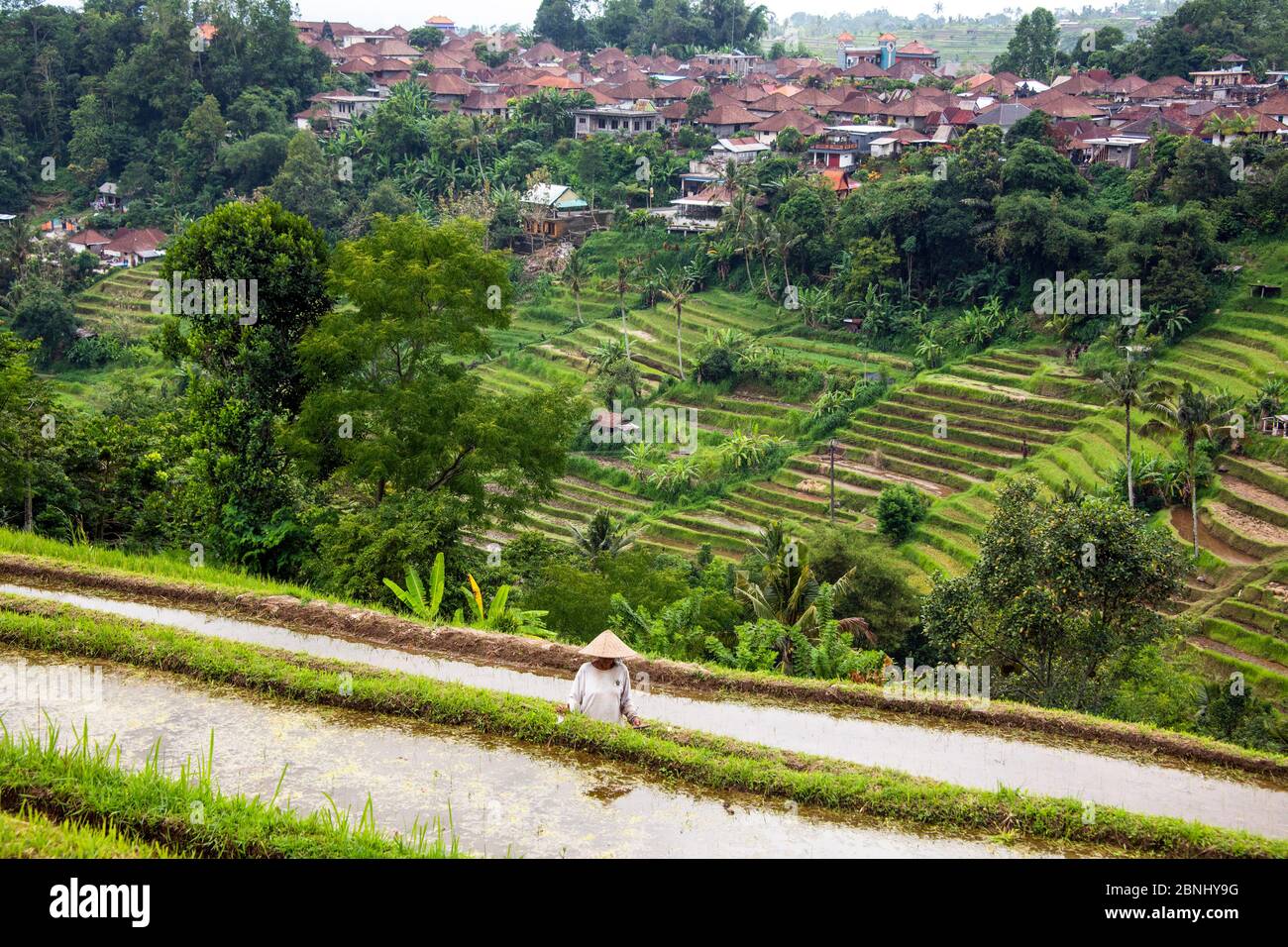 Bauer trägt konischen Hut mit Stadt und Terrassen hinter Jatiluwih Bali Indonesien Stockfoto