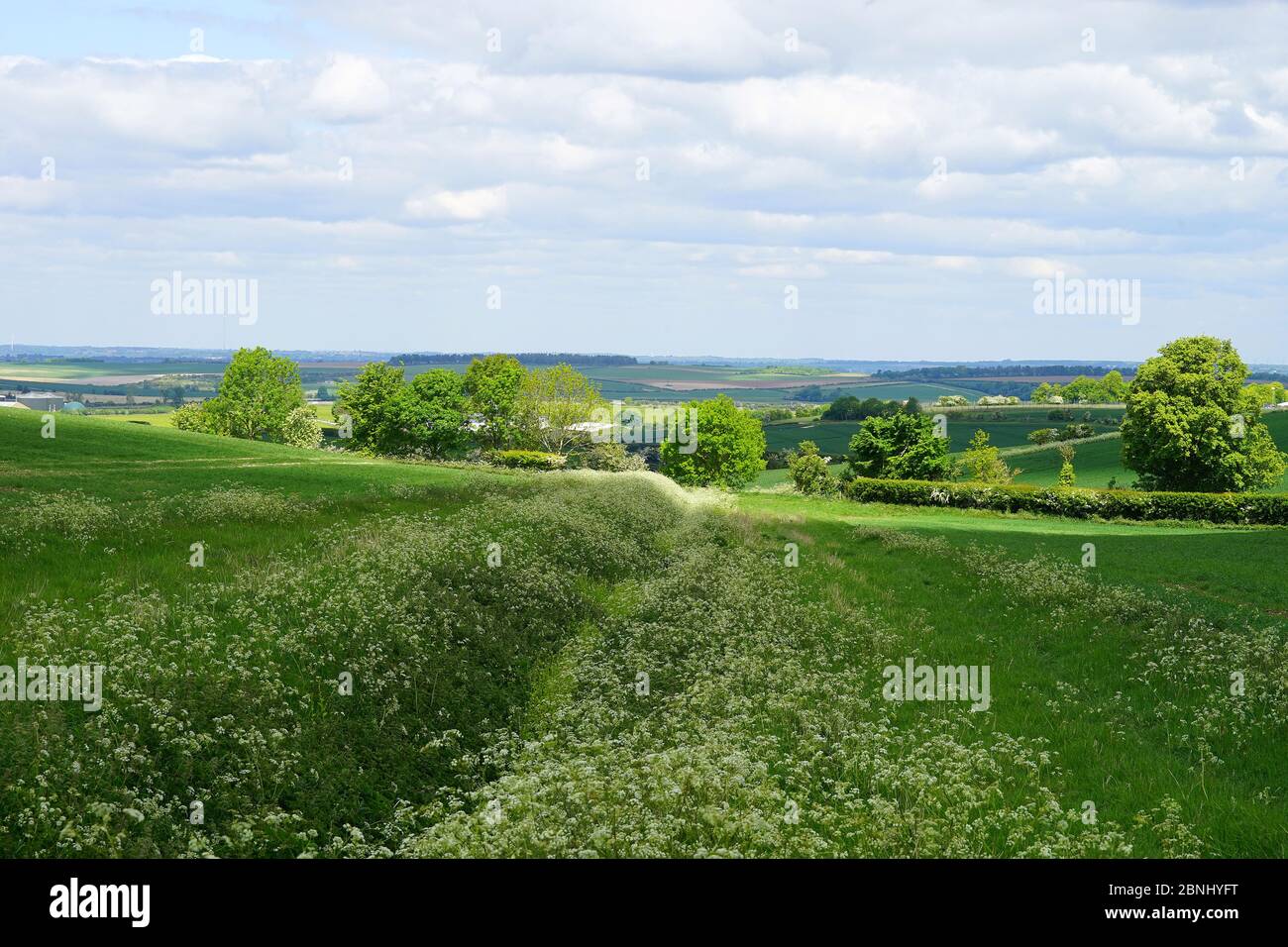 Die Landschaft in der Nähe von Wallington, Herts Stockfoto