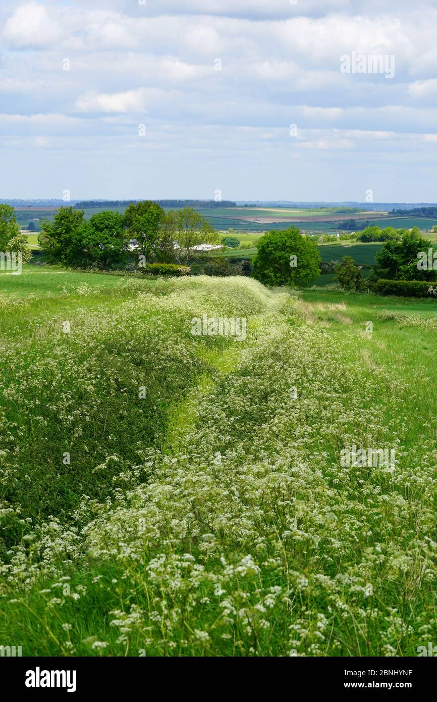 Die Landschaft in der Nähe von Wallington, Herts Stockfoto