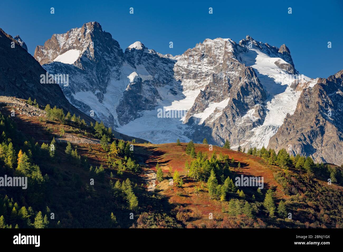 Glacier du Lautaret und Gaspard Peak im Herbst mit wilden Heidelbeerfeldern in rot gefärbt. Col du Lautaret, Nationalpark Ecrins, Hautes-Alpes, Frankreich Stockfoto
