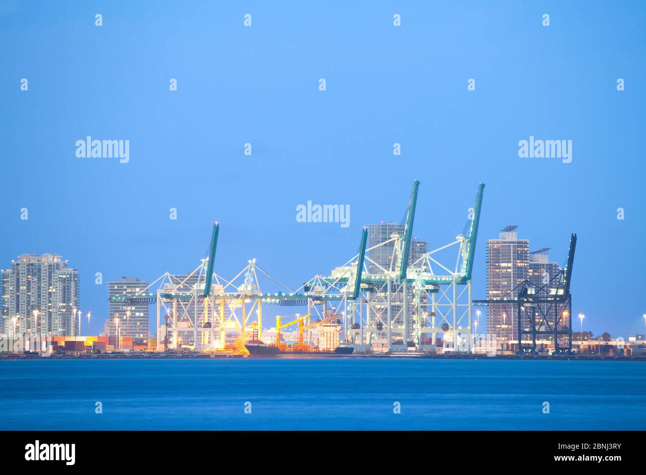 Kraniche im Hafen von Miami, Miami, Florida, USA Stockfoto