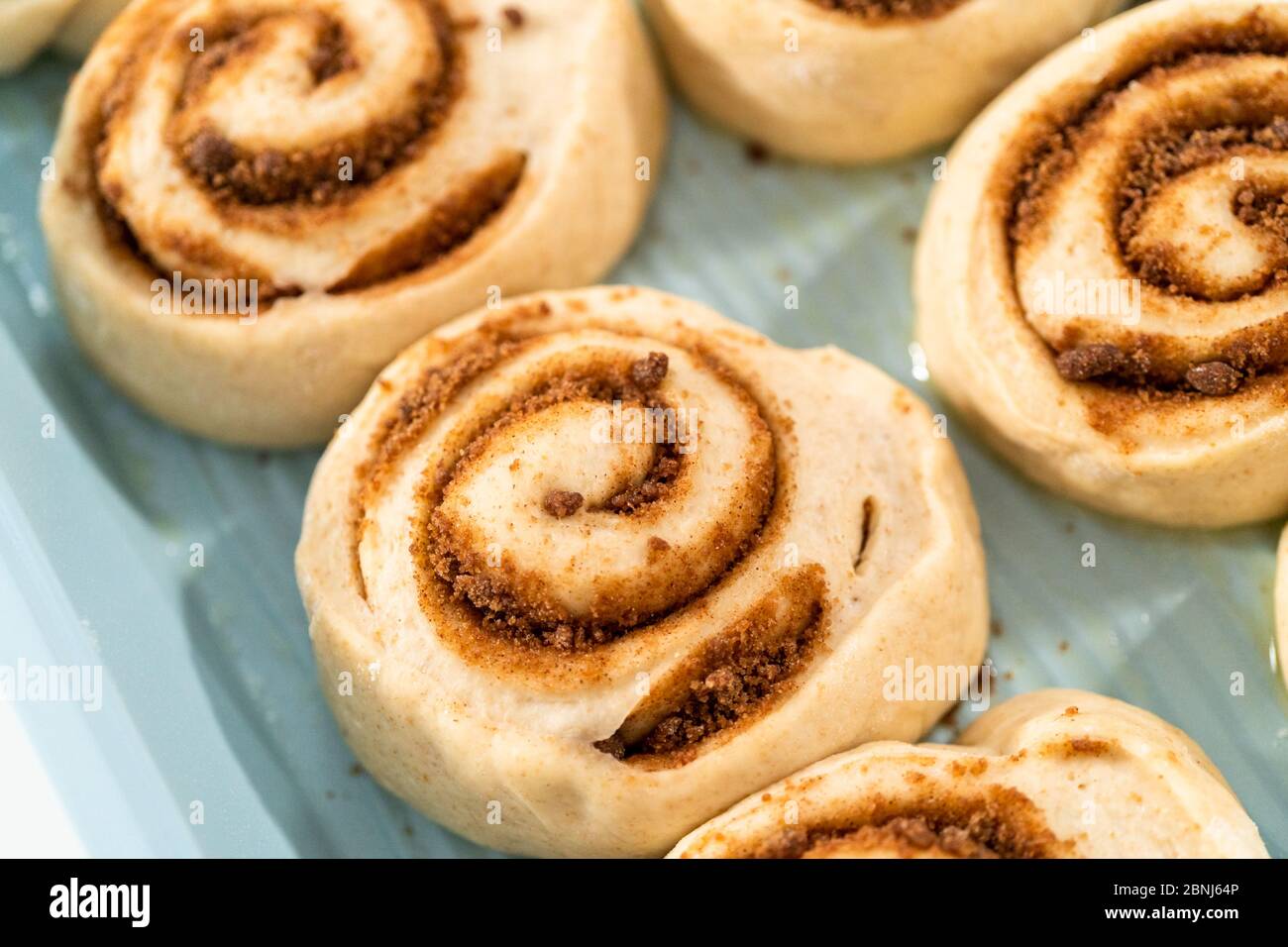 Ungebackene Zimtbrötchen in einer blauen Backform. Stockfoto