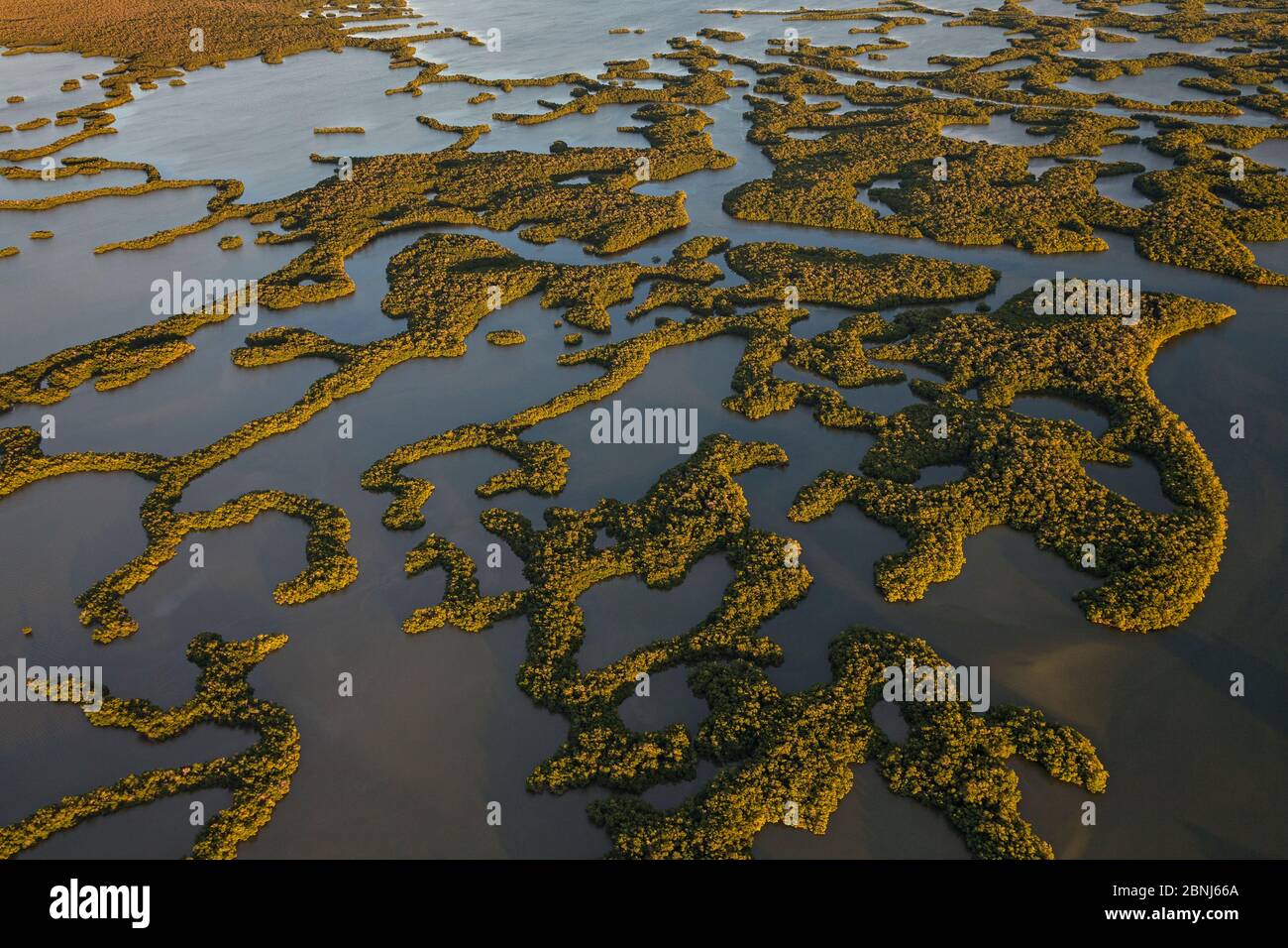 Mangove Inseln, Luftaufnahme, Zehn Tausend Inseln, Everglades National Park, Florida, USA, Januar 2015. Stockfoto