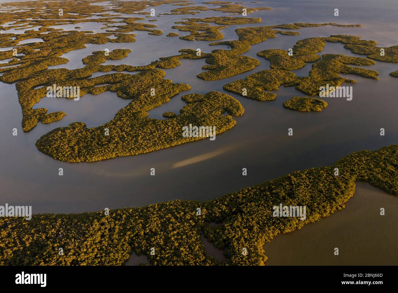 Mangove Inseln, Luftaufnahme, Zehn Tausend Inseln, Everglades National Park, Florida, USA, Januar 2015. Stockfoto