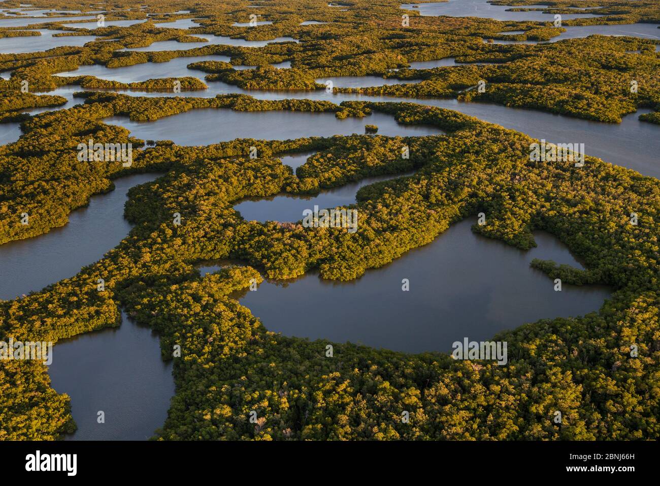 Mangove Inseln, Luftaufnahme, Zehn Tausend Inseln, Everglades National Park, Florida, USA, Januar 2015. Stockfoto