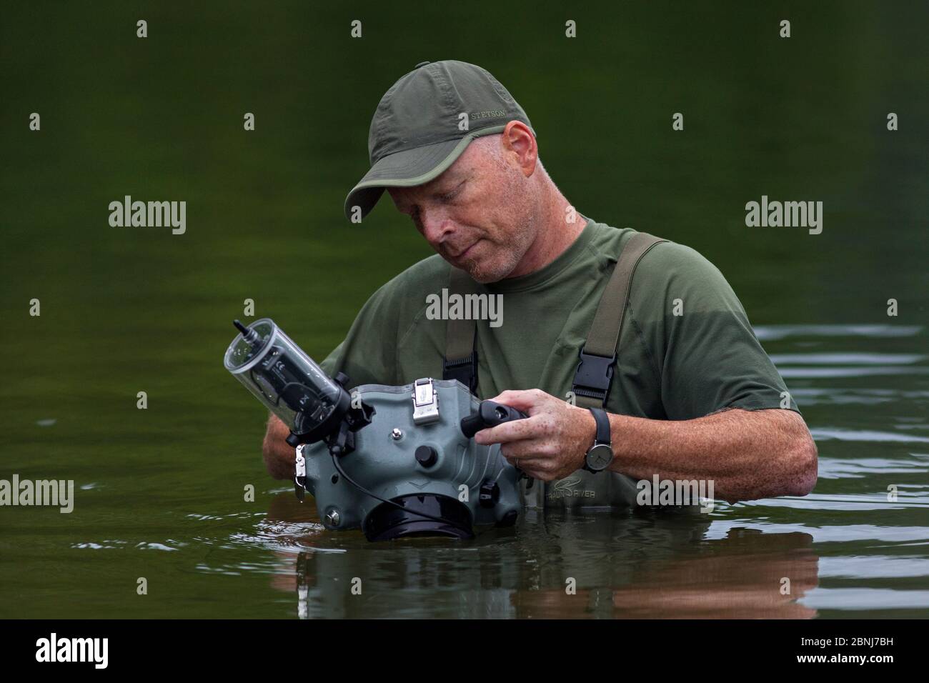 Wildlife Photographer Ingo Arndt Fotoapparat im Unterwassergehäuse für die Fotografie der europäischen Biber (Castor Fiber) , Spessart, Deutschland, Juni. Stockfoto