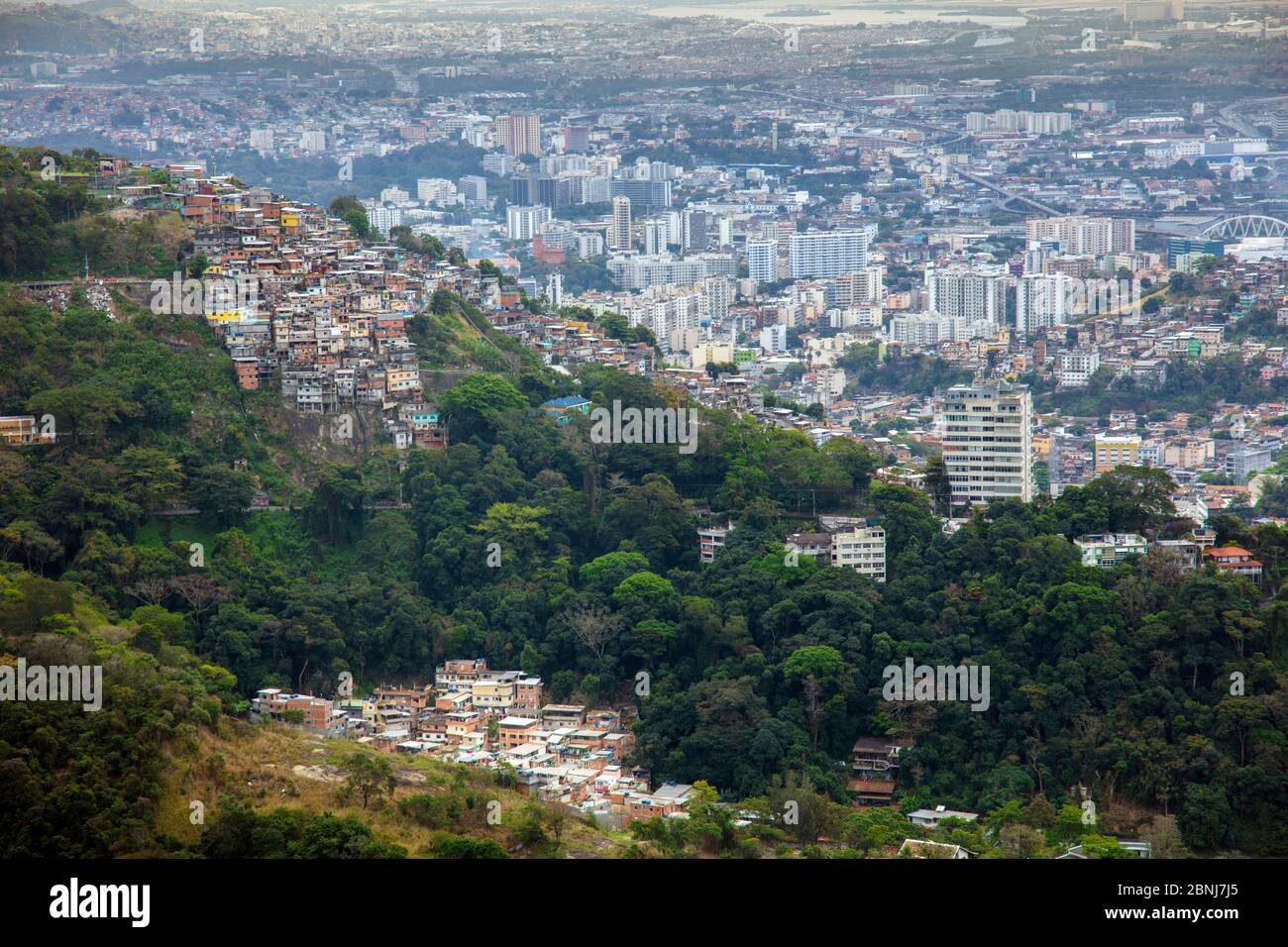 Erhöhte Ansicht eines Favela Slums am Rande des Tijuca Waldes, Rio de Janeiro, Brasilien, Südamerika Stockfoto
