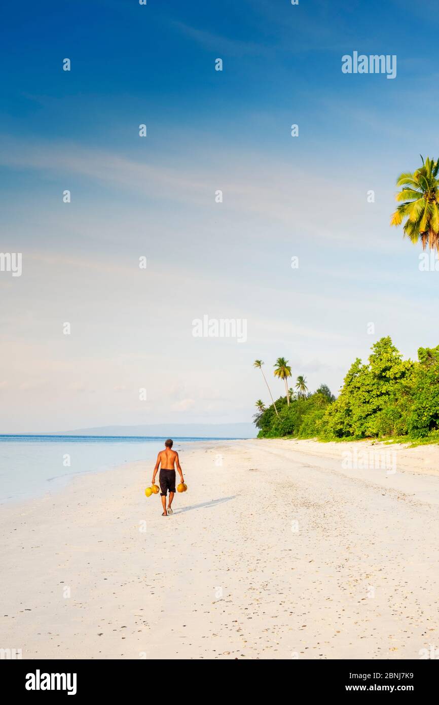 Ein lokaler Mann, der rohe Kokosnüsse entlang eines unberührten Strandes, Manawoka Island, Maluku, Gewürzinseln, Indonesien, Südostasien, Asien trägt Stockfoto