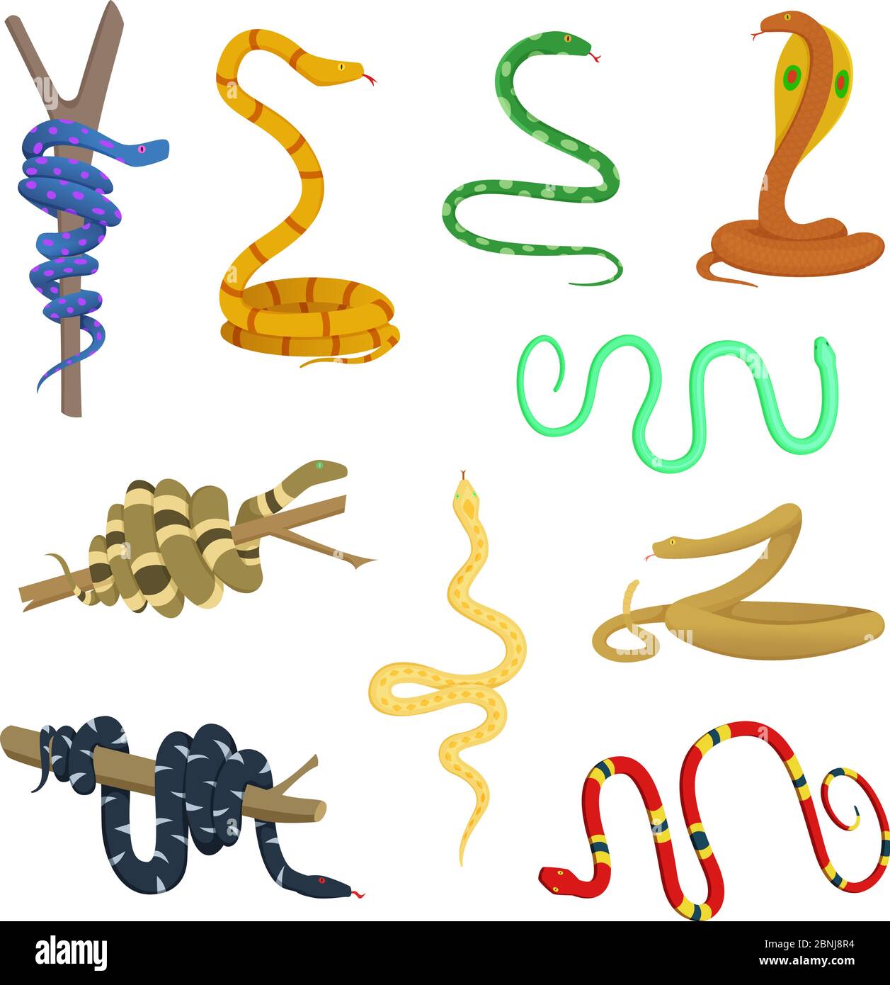 Cartoon-Bilder von verschiedenen Schlangen und Reptilien Stock Vektor