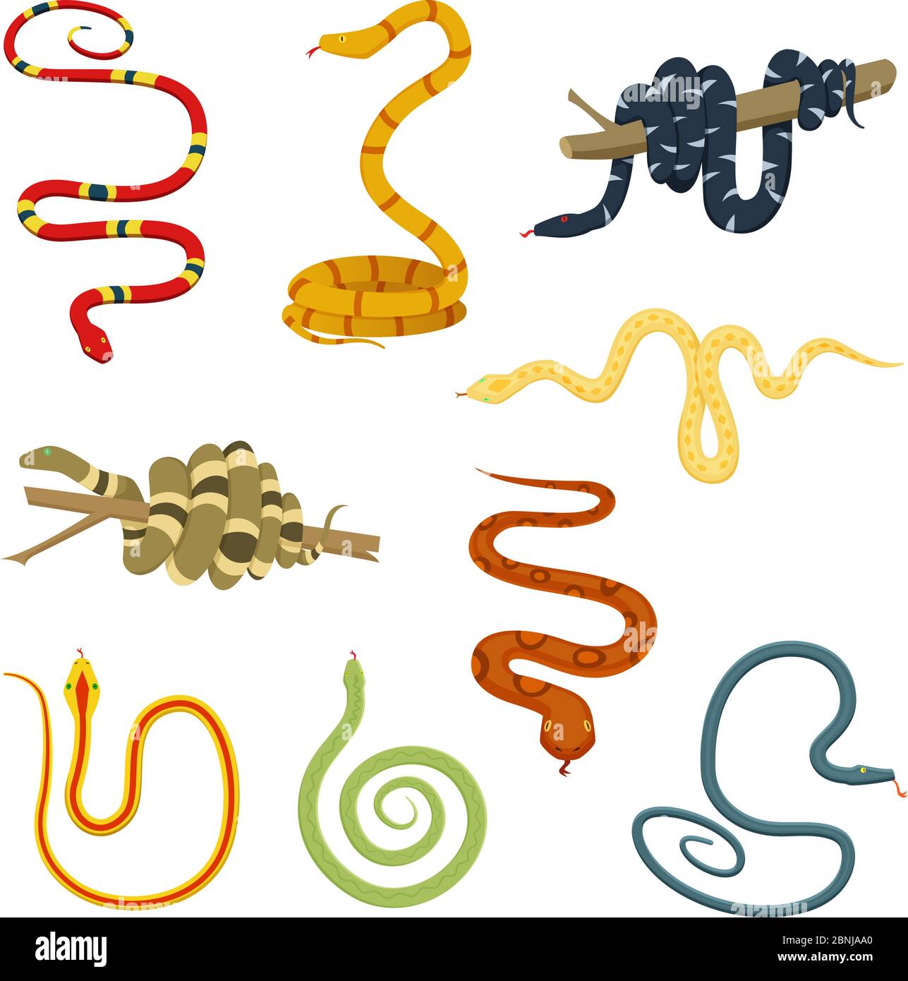Bilder von farbigen Reptilien. Giftige Schlangen Stock Vektor