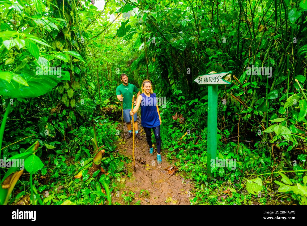 Ehepaar und Frau wandern durch den Dschungel auf Saba Island, Niederländische Antillen, Westindien, Karibik, Mittelamerika Stockfoto