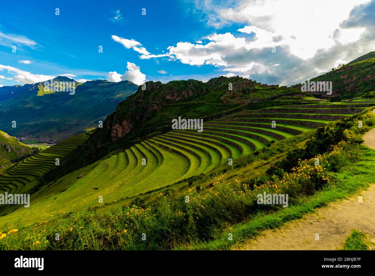 Schöne Terrassen auf der Bergseite in Pisac, Peru, Südamerika Stockfoto