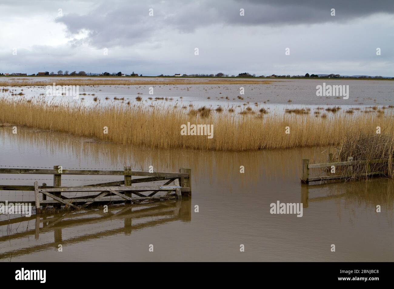 Steart Marshes, WWT Reserve, überflutet bei Flut, Somerset, Großbritannien, April 2016. Stockfoto