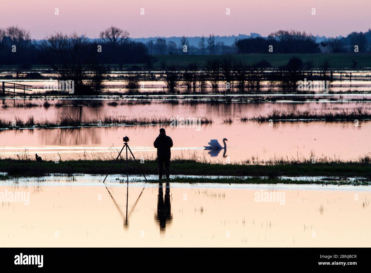 Fotograf in der Dämmerung warten auf perfekte Aufnahme unter gefluteten Feldern in der Nähe von Burrowbridge, Somerset Levels, Somerset, Großbritannien, Februar. Stockfoto