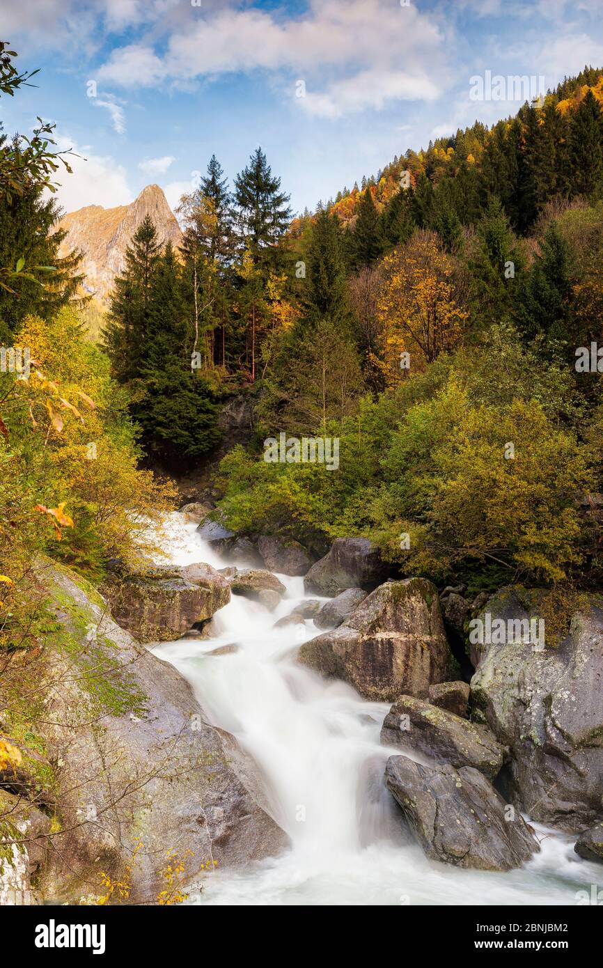 Wasserfall im Bagni di Masino Reserve im Herbst, Valmasino, Valtellina, Lombardei, Italien, Europa Stockfoto