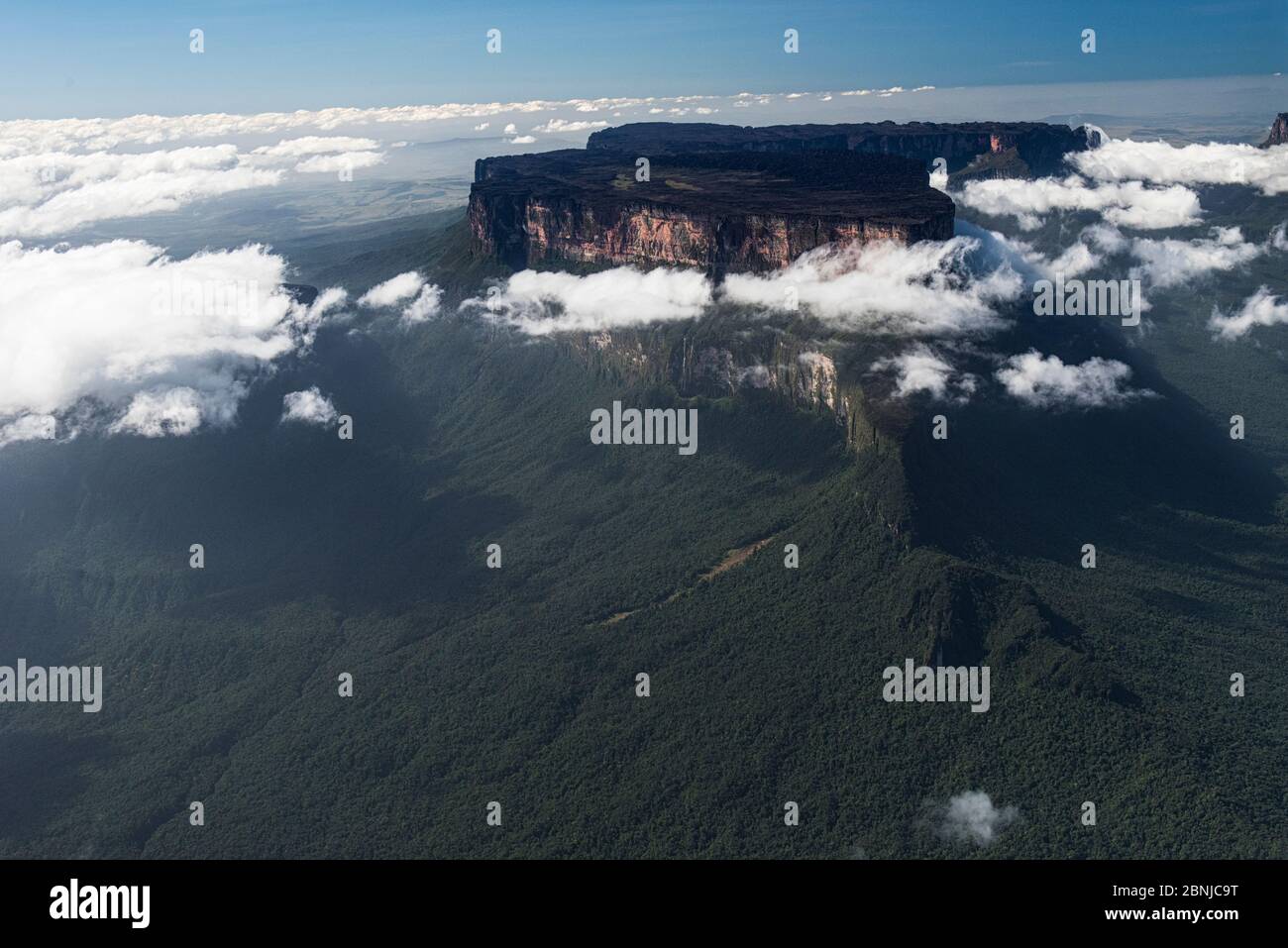Der Roraima ist der höchste Berg der Pakaraima-Kette der Tepuis-Hochebenen in Südamerika, Pakarajma-Gebirge, in der Nähe von Phillipai, West-Guyana, Südamerika Stockfoto