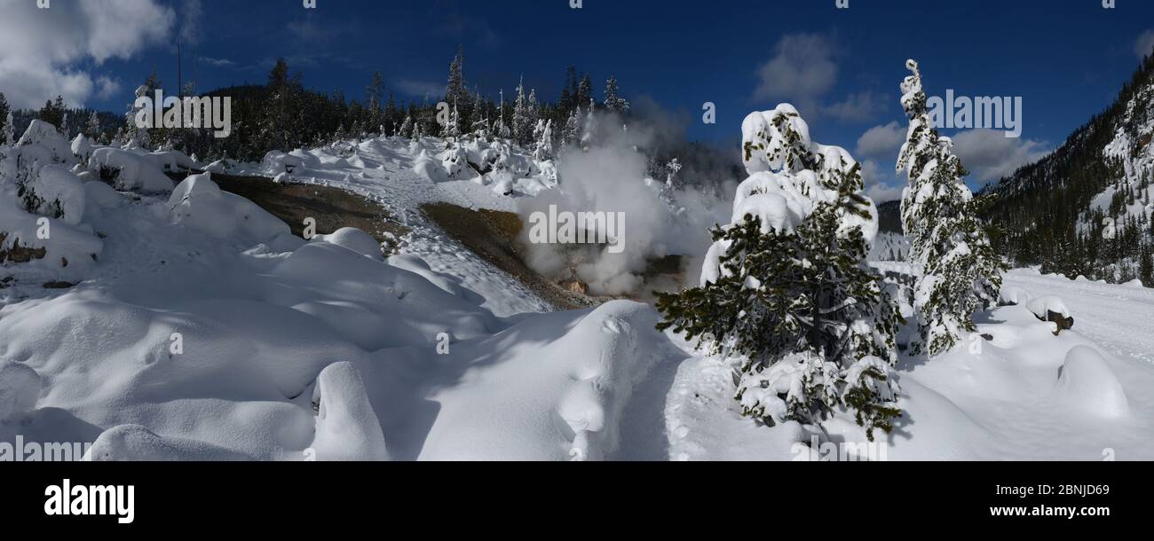 Beryl Spring, Yellowstone National Park, Wyoming, Vereinigte Staaten von Amerika, Nordamerika Stockfoto