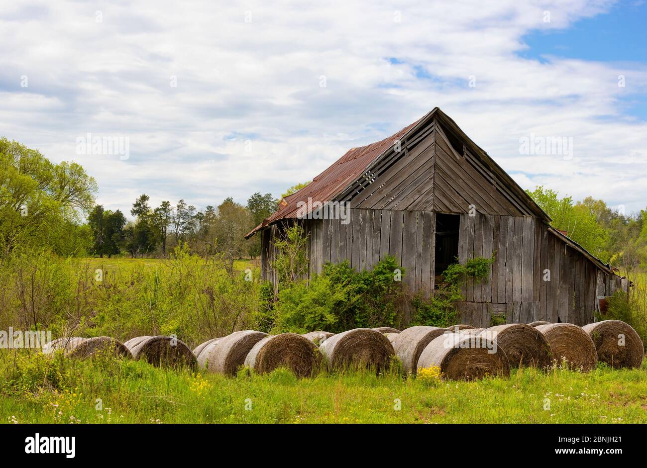 Unter weißen Wolken und blauem Himmel sitzt eine kleine Scheune mit aufgerolltem GrasHeu auf einem Feld. Stockfoto