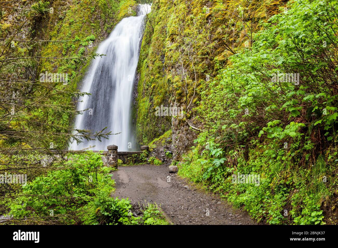 Wahkeena Falls, Columbia River Gorge National Scenic Area, Oregon, USA. April 2016. Stockfoto