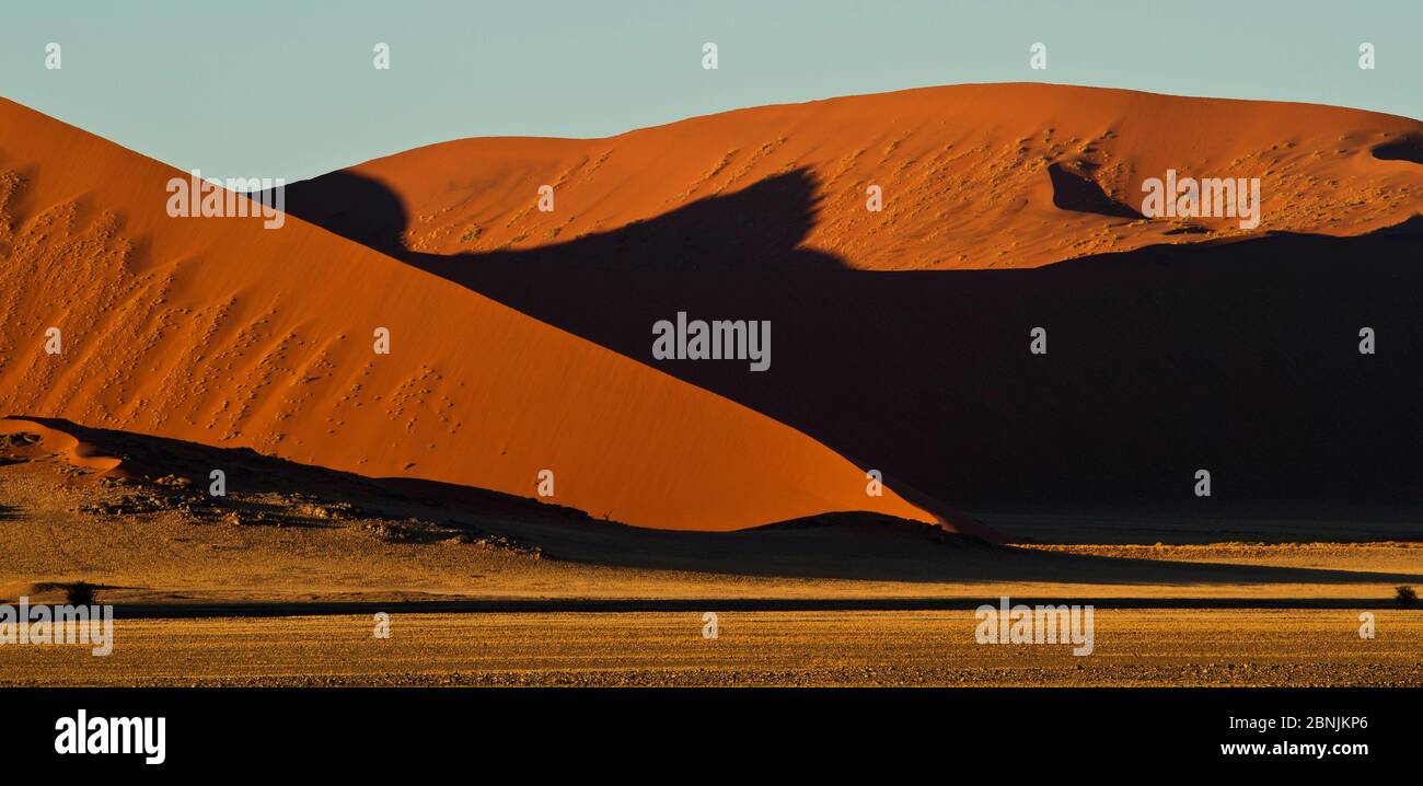 Landschaft mit Wüstenszene Stockfoto