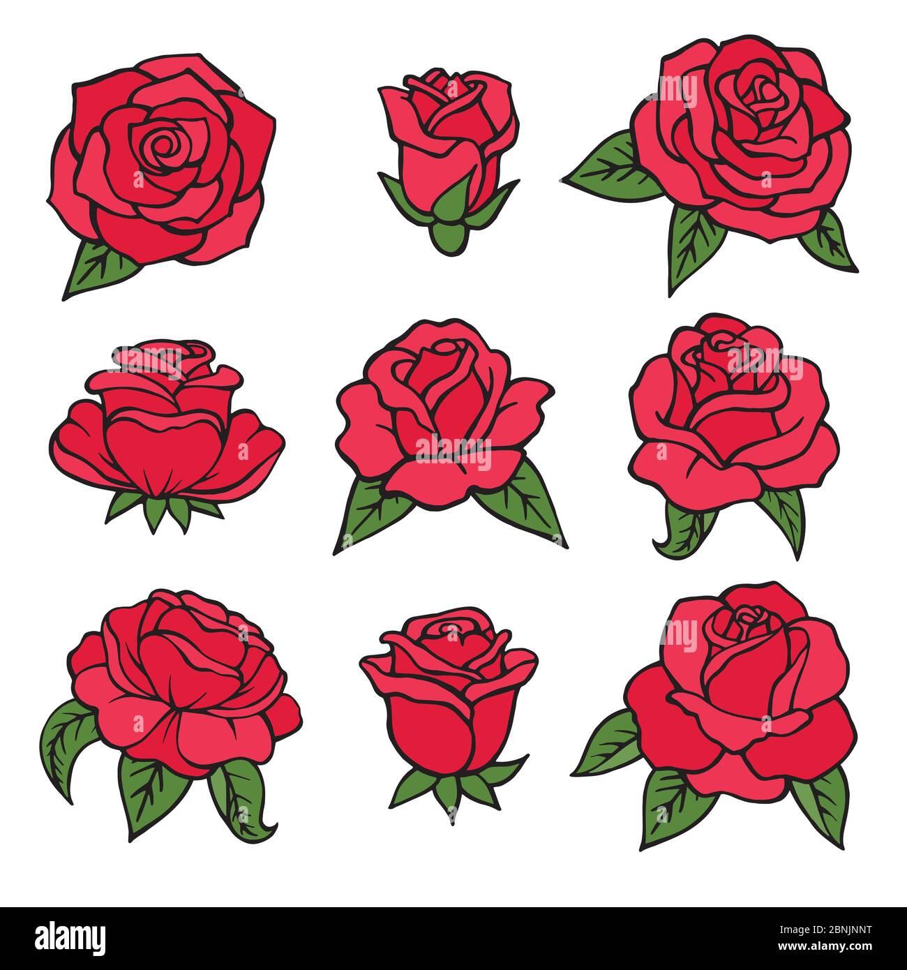 Illustrationen von Pflanzen. Rote Rosen Symbole der Liebe. Hochzeitsblumen isolieren auf weiß Stock Vektor