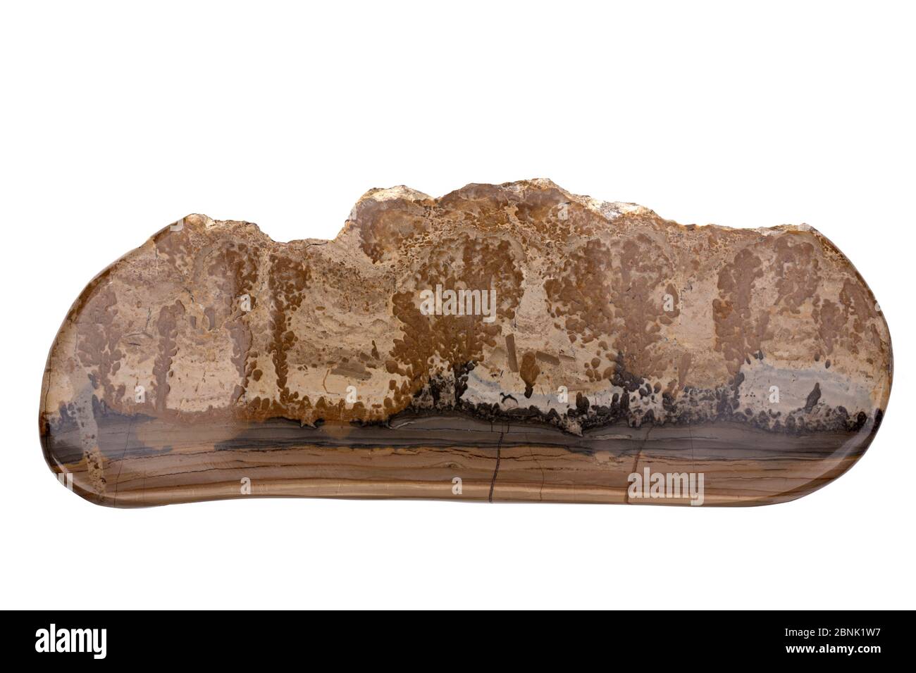 Cotham Marmor oder Landschaftsmarmor, eine Vielzahl von rätischen stromatolittischen Kalkstein aus der Penarth-Gruppe, in Süd-Wales und Südwestengland gefunden Stockfoto