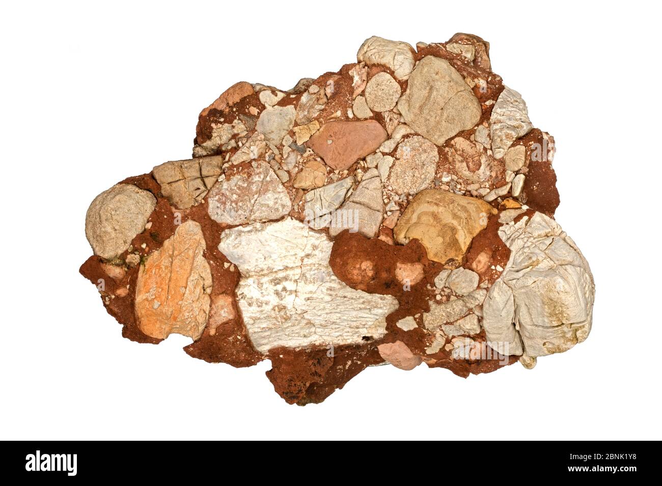 Leesburg Kalksteinkonglomerat Nahaufnahme zeigt Clasts, Frederick County, Maryland, USA, Juni. Stockfoto