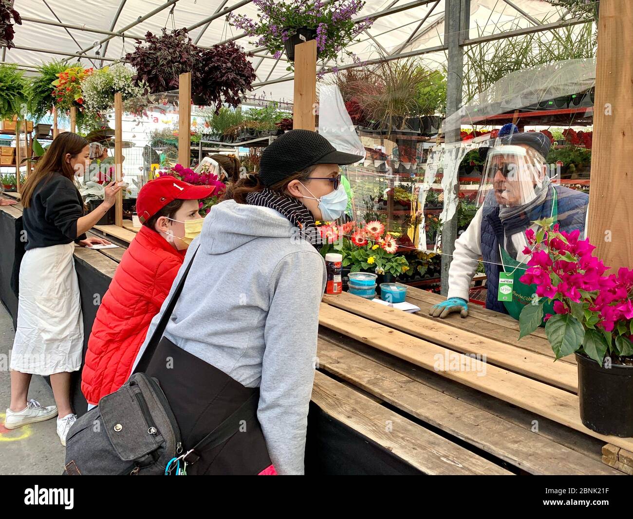 Im Frühling kaufen die Menschen während des anhaltenden Ausbruchs von Covid19 in Montreal, Kanada, nach Blumen ein Stockfoto