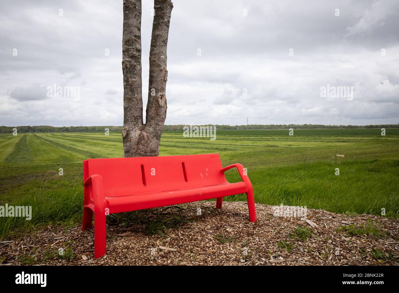 Steinburg, Deutschland. Mai 2020. Eine rote Bank steht auf einer Landstraße neben einer Haltestelle für den Schulbus. Kredit: Christian Charisius/dpa/Alamy Live News Stockfoto